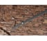Хомут Lucky Guy Sprinkler d=222 мм, 8", 50x2 мм, с отверстием под М16, оцинкованный 400 14 222 8 13
