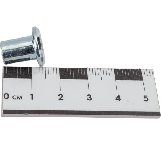 Гайка эриксона с плоской головкой Insparion М6 (10 шт) С1-00000900