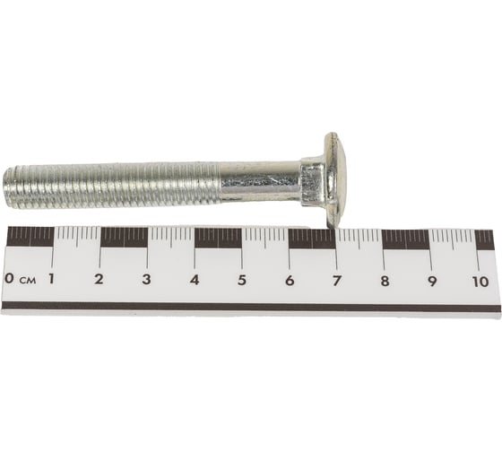 Мебельный болт KRANZ DIN 603, 10x70, 2 шт. 1301-1070-4