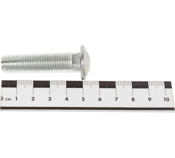 Мебельный болт KRANZ DIN 603, 10x50, 2 шт. 1301-1050-4