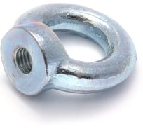 Рым-гайка ПАРТНЕР DIN582 ZN M8 4690250052216
