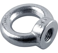 Рым-гайка SWFS DIN582 М 8 25 шт. тов-195974