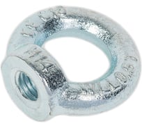 Рым-гайка ЖЕСТЬ DIN582, М14, 1 шт., европодвес УТ-00006898