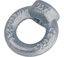 Рым-болт Доброга М36 10 шт DIN 580 ЦБ-0035551