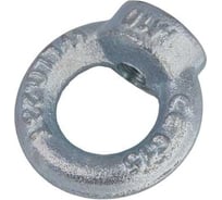Рым-гайка Доброга М36 10 шт. DIN 582 ЦБ-0042149