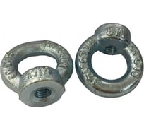 Рым-гайка boltnn.ru М8 DIN 582 оцинкованный 10шт 4687206931046
