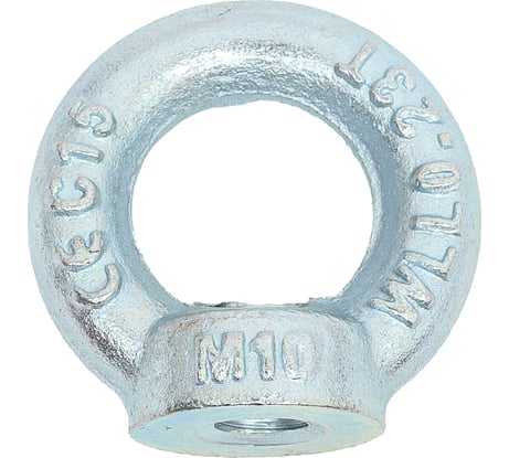 Рым-гайка STARFIX М10, DIN 582 SMP-56028-1