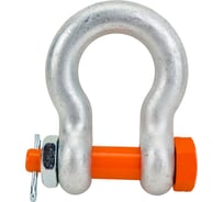 Скоба такелажная CERTEX омегообразная со шплинтом грузоподъемность 6,5 тонны SAK65PL 26195777