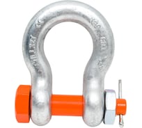 Скоба такелажная CERTEX омегообразная со шплинтом грузоподъемность 12 тонн SAK120PL 26195213