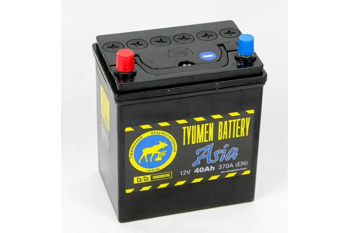 Аккумулятор TYUMEN BATTERY Тюмень asia 6ст-40.1 тонк.кл. TNSa40.1 -  выгодная цена, отзывы, характеристики, фото - купить в Москве и РФ