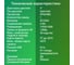 Видеорегистратор DIGMA GP6248A FreeDrive 208 Night FHD черный, 2Mpix, 1080x1920, 1080p, 170 гр. 1070524 7
