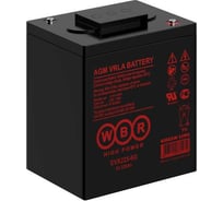 Аккумулятор тяговый WBR EVX225-6G 6В, 225 Ач УТ-00001344