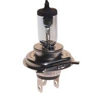 Автолампа NARVA HB2 60 55 P43t-38+50% RANGE POWER BLUE 12V 10 100 486763000