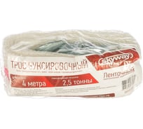 Ленточный трос в пакете SKYWAY 2.5 т, 4 м 2 крюка S03101004