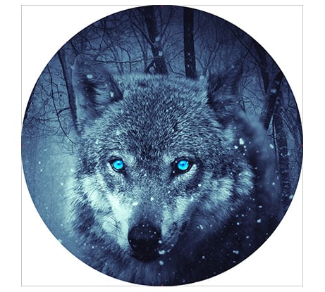 Чехол запасного колеса SKYWAY волк R16/17 экокожа полиэстер S06301029