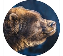 Чехол запасного колеса SKYWAY Медведь R15 экокожа полиэстер S06301036