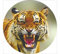 Чехол запасного колеса SKYWAY тигр 2 R15 экокожа полиэстер S06301034