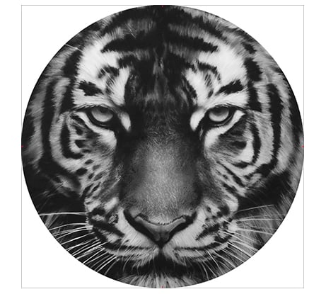 Чехол запасного колеса SKYWAY Тигр R15 экокожа полиэстер S06301033