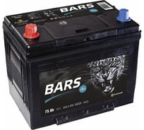 Аккумуляторная батарея BARS 6СТ75 278x175x190 075 11 51 01 0221 07 11 0L