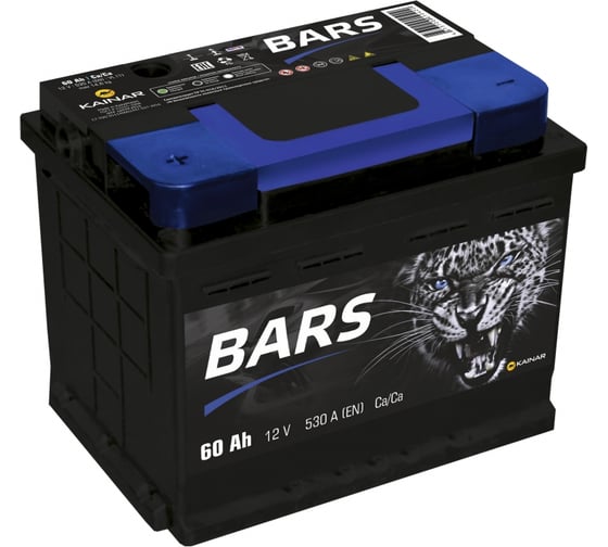 Аккумуляторная батарея BARS 6СТ60 242x175x190 060 13 50 01 0221 09 11 0 L