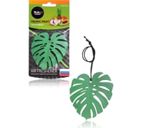 Подвесной ароматизатор Airline Монстера пластик, тропифрут AFMO220