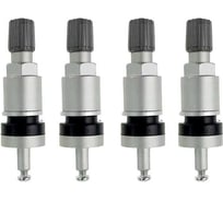 Комплект вентилей NORM под датчик TPMS-02