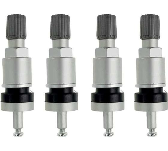 Комплект вентилей NORM под датчик TPMS-02 1