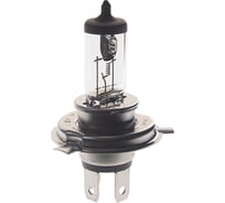 Автолампа PHILIPS H4 75/70 P43t-38 24V 13342C1