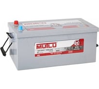 Аккумуляторная батарея Mutlu SFB M2 6СТ-225 евро.конус D6.225.140.B