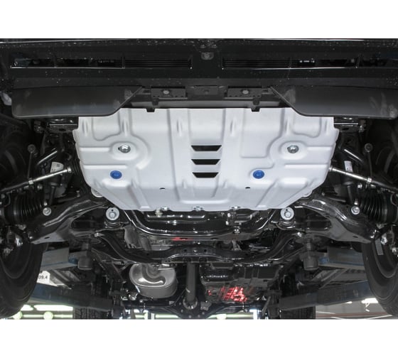 Защита радиатора Rival Lexus GX 460 09-13 13-/Toyota LC 150 Prado 09-17 17, 333.9516.1