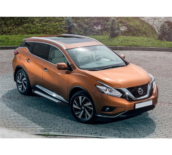 Алюминиевые пороги Bmw-Style круги Rival для Nissan Murano III 2016, 2 шт., D180AL.4108.3