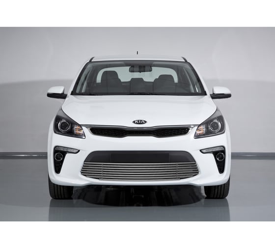 Решетка бампераRival  d10 для Kia Rio IV 2017-н.в., нержавеющая сталь, G.2803.001