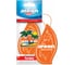 Ароматизатор Areon REFRESHMENT paradise MKS09 1