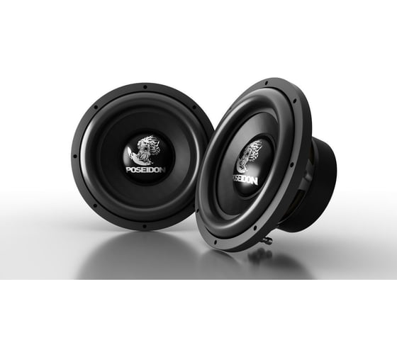 Сабвуфер с двойной звуковой катушкой PROLOGY PS-10" 4607940902997