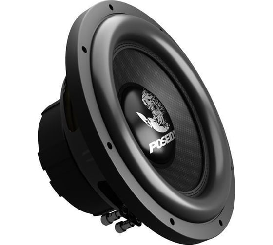 Сабвуфер с двойной звуковой катушкой PROLOGY PS-12" 4607940903017