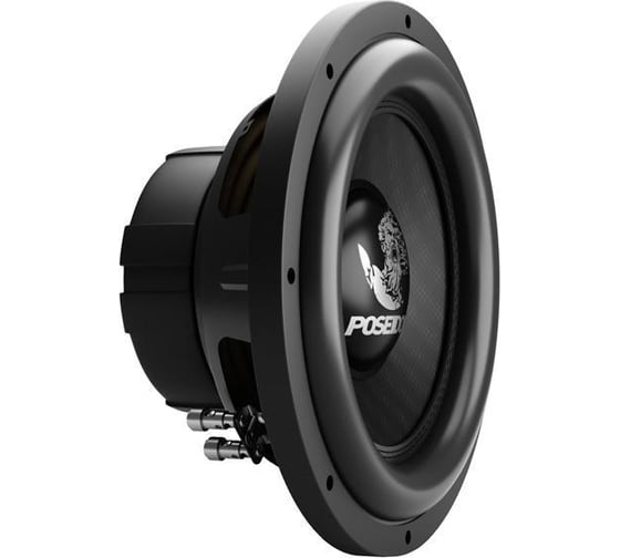 Сабвуфер с двойной звуковой катушкой PROLOGY PS-12" 4607940903017