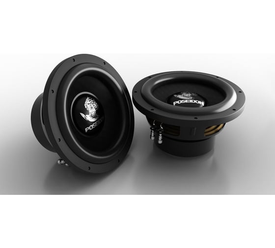 Сабвуфер с двойной звуковой катушкой PROLOGY PS-8" 4607940902973