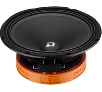 Акустическая система DL AUDIO phoenix sport 200 2016048