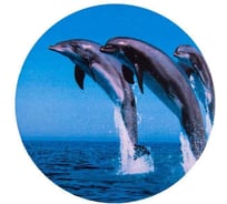 Чехол запасного колеса SKYWAY дельфины R16-17 S06301012