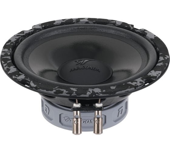 Акустическая система DL AUDIO anaconda 165 comp 2016136 1