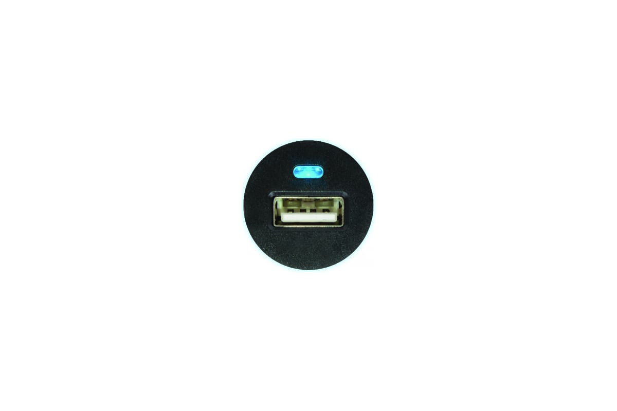 USB1000/Auto Robiton, 1000 мА, с USB входом, /12-24V/, BL1 13706 ...