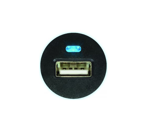 USB1000/Auto Robiton, 1000 мА, с USB входом, /12-24V/, BL1 13706