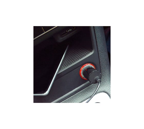 USB1000/Auto/microUSB Robiton, /12-24B/, BL1 13908