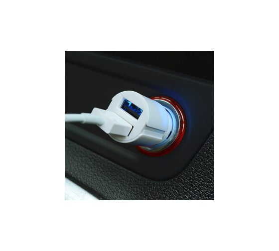 TwinUSB1000/Auto Robiton, 2100 мА, с 2 USB входом, /12-24V/, BL1 13776
