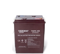 Тяговая аккумуляторная батарея EVEREST TNE 6-400ah Energy P6-400