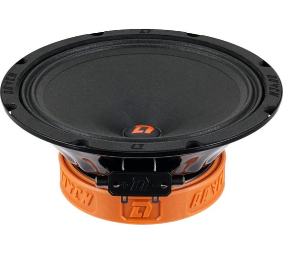 Акустическая система DL AUDIO raven 200 2016041 1
