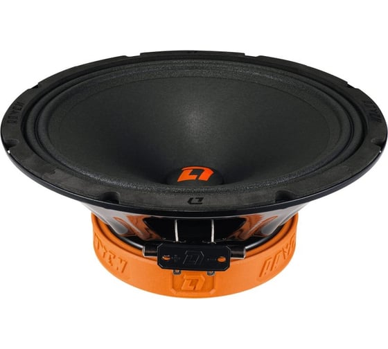 Акустическая система DL AUDIO raven 250 2016085 1
