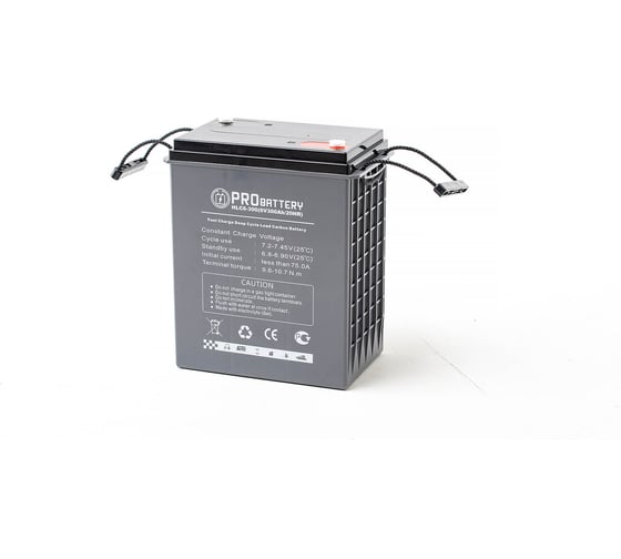 Аккумуляторная батарея PROBATTERY HLC6-300 1
