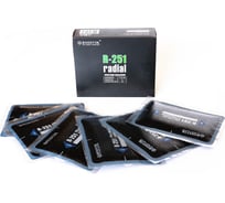 Пластыри ROSSVIK R-251 холодные 115 х 145/2 сл 10 шт R.251.B.10.