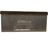 Аккумуляторная батарея PROBATTERY HLC12-200